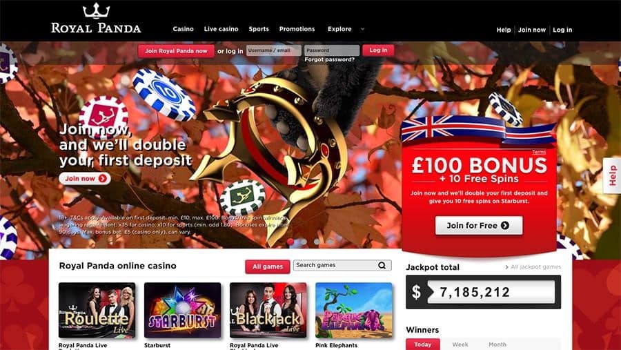 betkubi online casino